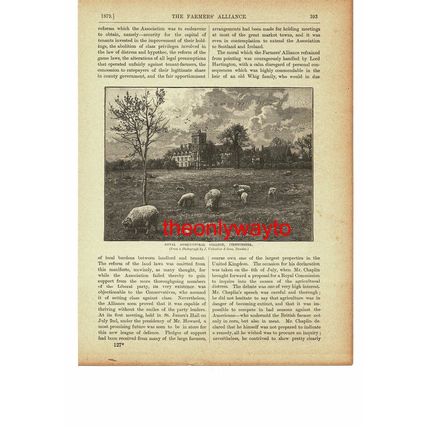 Royal Agricultural College, Cirencester, Book Illustration (Print), c1895