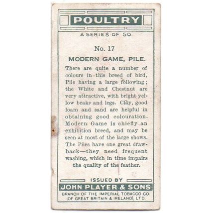 PLAYER'S CIGARETTE CARD POULTRY 1931 No. 17. MODERN GAME, PILE