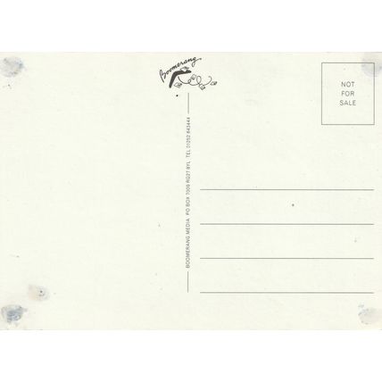 BOOMERANG POSTCARD (eye) :