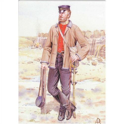 Field Officer 48th Northamptonshire Regiment Of Foot 1855 Uniform Postcard 12959