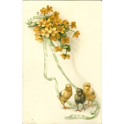 Art M. MUNK Birds Postcard (723)