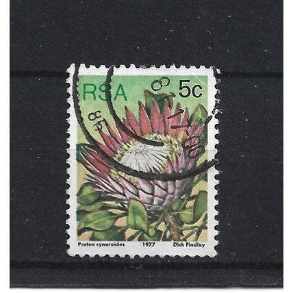 SouthAfrica.SG418 5c Protea Cynaroides.Fine Used.Sep25e