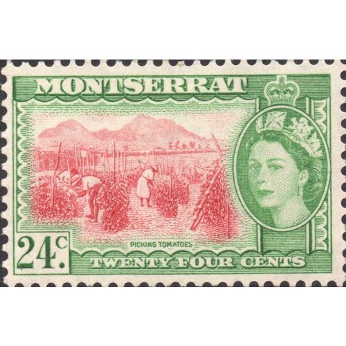 Montserrat 1955 24c Red Green Mounted Mint MM SG 145 Sc 137 stamp Tomatoes