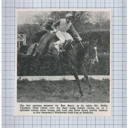 (5174) Ron Barry Philip Cussins Titus Oates Sandown Horse - 1971 Clip