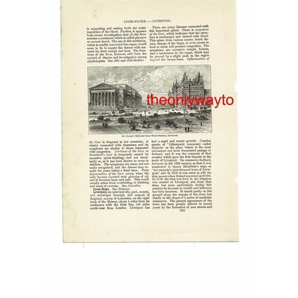 Liverpool, St Georges Hall & Lime Street, Small Book Illustration (Print), 1903