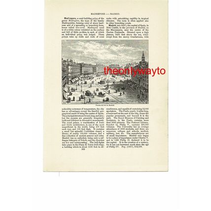 Puerta Del Sol, Madrid, Spain, Small Book Illustration (Print), 1903