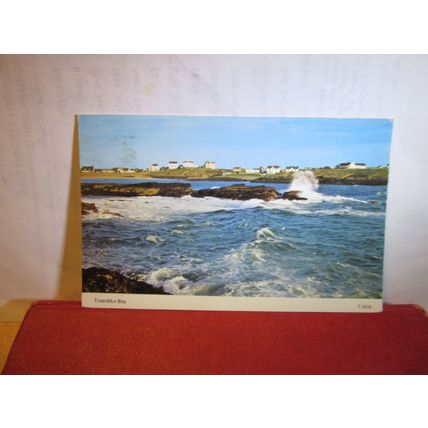 TREARDDUR BAY, HOLYHEAD, ANGLESEY Wales. used postcard by E T W Dennis =