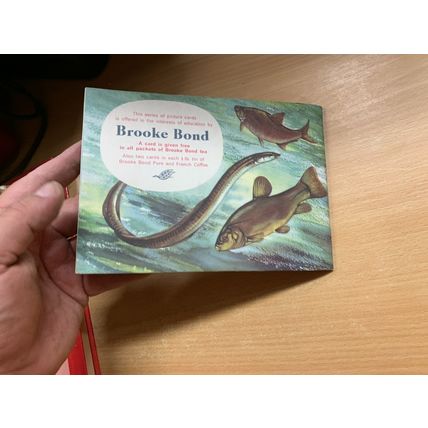 VINTAGE BROOKE BOND FRESHWATER FISH ALBUM BOOK *INCOMPLETE* (P2)