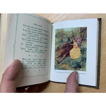 c1921 "GEMS FROM SHAKESPEARE (COMEDY) TINY ILLUSTRATED SUEDE LEATHER BOOK (LL)