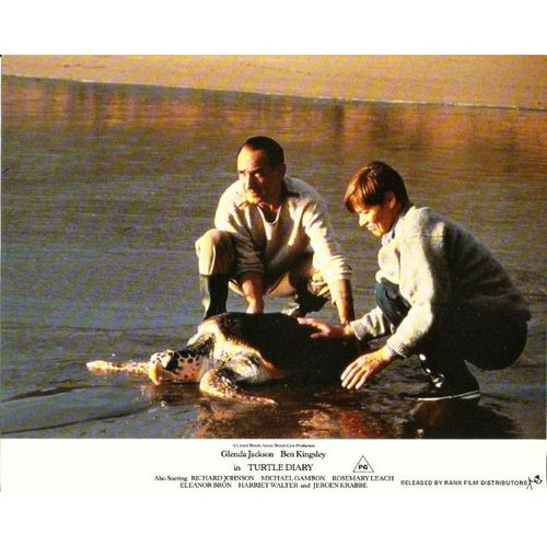 TURTLE DIARY Glenda Jackson, Ben Kingsley 1985 F-O-H Stills Set (8)