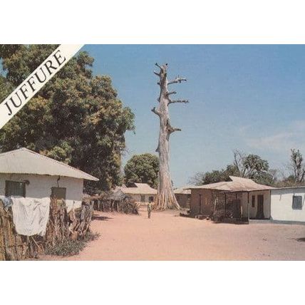 Juffure Gambia Tribal Houses African Gambian Postcard