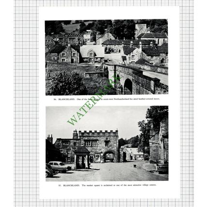 9278) Gateshead Shipley Art Gallery / Blanchland - 1958 Book Print