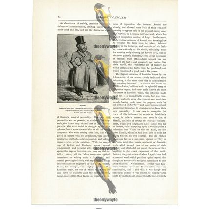 Caricature Of Rossini, Paris, Book Illustration (Print), c1892