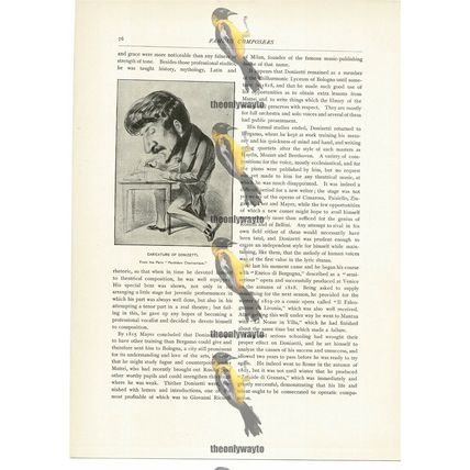 Caricature Of Donizetti, Paris, Book Illustration (Print), c1892