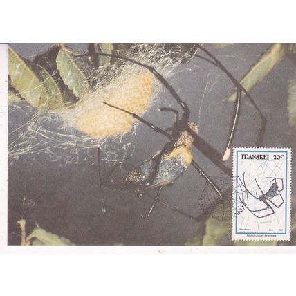 Transkei 1987 Spiders Nephila Pilipes 20c Mazi Card FDI special cancel VGC