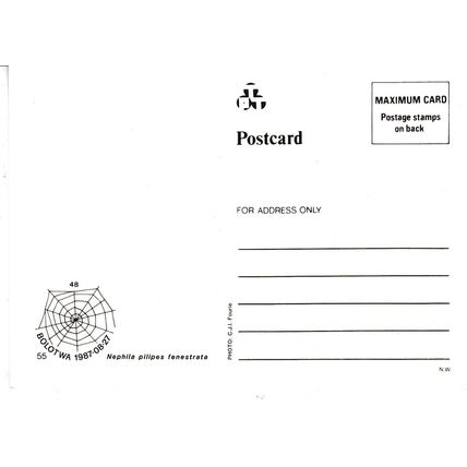 Transkei 1987 Spiders Nephila Pilipes 20c Mazi Card FDI special cancel VGC