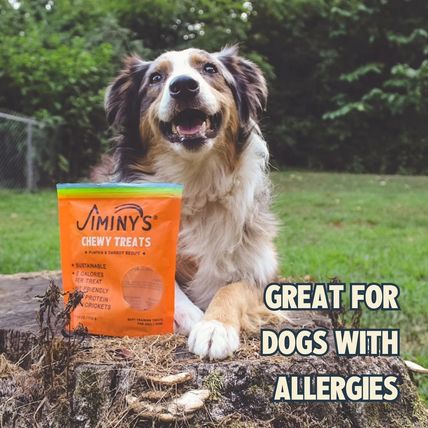 Jiminy’s Chewy Training Treats for Dogs – Pumpkin & Carrot Recipe – 6 oz