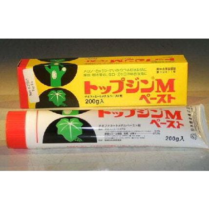 Bonsai Wound / Cut Paste Dressing - 200 Gram TubeSeals Bonsai Tree Wounds