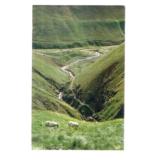 GREY MARES' TAIL, MOFFAT, SCOTLAND unused vintage postcardby M & L. =