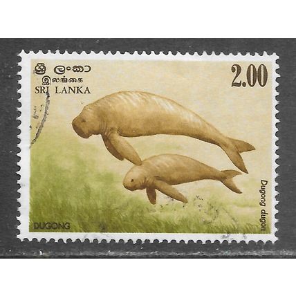 SRI LANKA CEYLON 1983 DUGONG MARINE MAMMAL LIKE MANATEE SEA COW 2.00 USED
