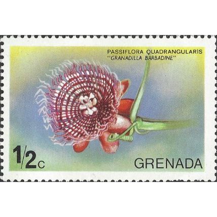 GRENADINES, FLOWER, Granadilla, Passiflora, green 1975, ½c, #2