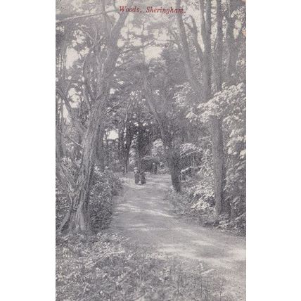 Upper Class Ladies in Sheringham Woods Norfolk Old Postcard