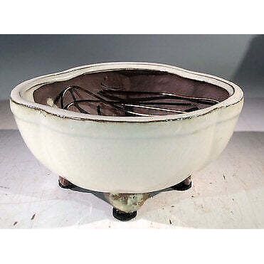 "Beige Ceramic Bonsai Pot - Lotus Shaped Professional Series 6"" x 4"" x 2"""