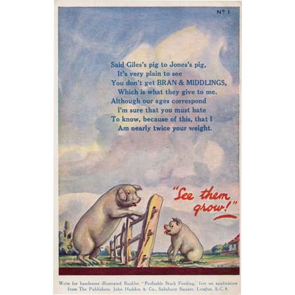 Bran & Middlings Farm Cattle Pig Food Antique Advertising Postcard