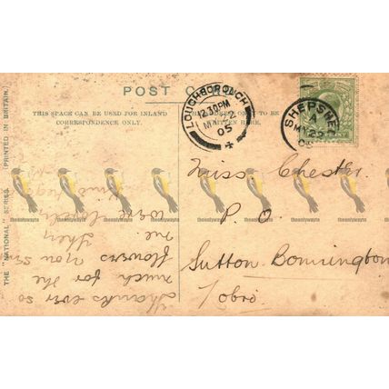 Buxton Gardens, Derbyshire, National Series Postcard, 1905