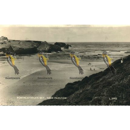 Porthcothnan Bay, Near Padstow, Cornrwall, L3992 RP Valentine's Postcard,1960