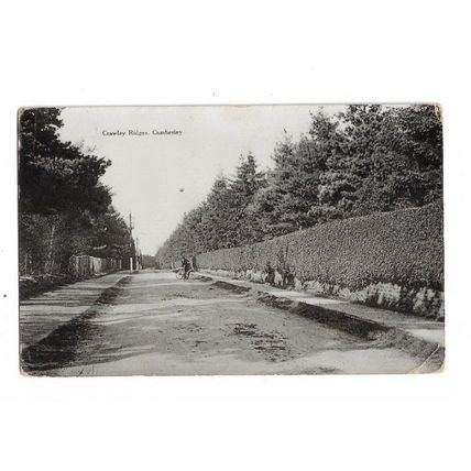 Crawley Ridges, Camberley, Surrey, Postcard.