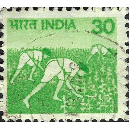 INDIA, Harvesting Maize, green 1979, 30paisa