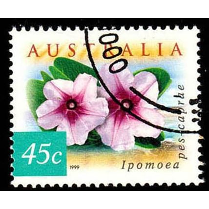 Australia 1999 Flowers 45c Used Stamp Ipomoea 14.25 Perf