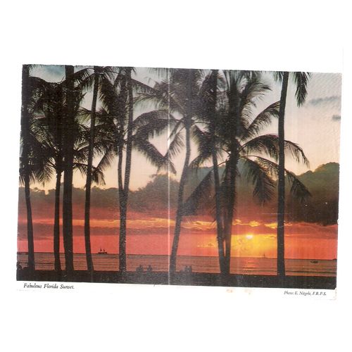 FABULOUS FLORIDA SUNSET, USA used postcard 1989 postmark #