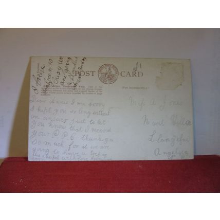 ALPINE BRIDGE, LLANDRINDOD WELLS, RADNORSHIRE used antique postcard L & N W =