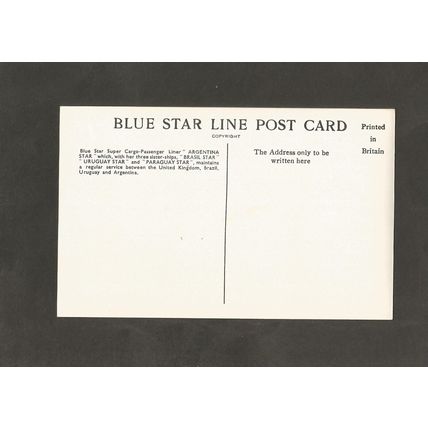 Post Card SS Argentina Star Blue Star Line