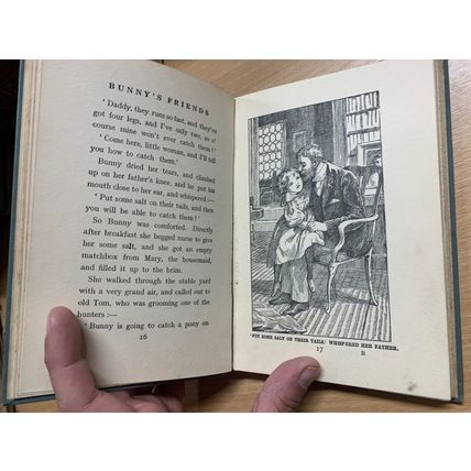 RARE* c1920s AMY LE FEUVRE "BUNNY'S FRIENDS" FICTION ILLUSTRATED BOOK (P3)