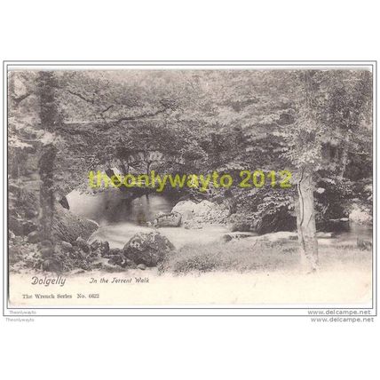 DOLGELLY, IN THE TORRENT WALK, WALES, 1908, Postcard