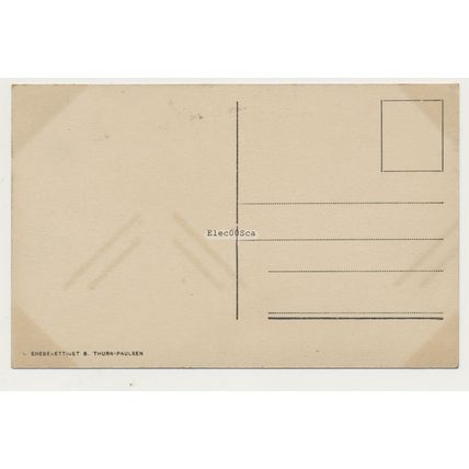 Norway Levanger Parti av Kirkegaten early 20th C. unused RPPC Thurn-Paulsen 2