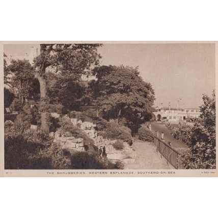 The Shrubberies Southend On Sea Vintage Postcard