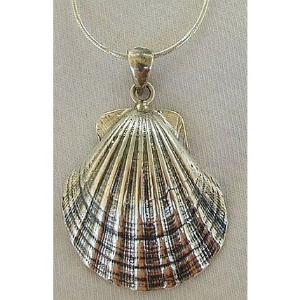 Shell pendant