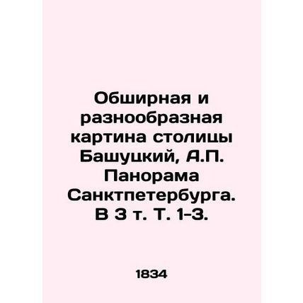 An extensive and diverse picture of the capital, Bashutsky, A.P. Panorama of St