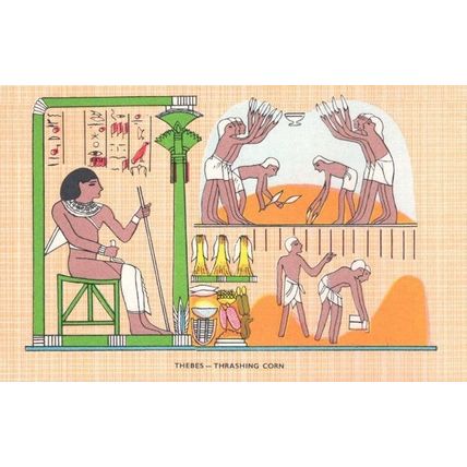 Thebes Thrashing Corn Farming Antique Egyptian Egypt Postcard