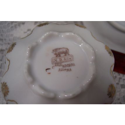 N D & CO Nowotny & Dressle CARLSBAD CHINA AUSTRIA Teacup & Saucer Unique Design