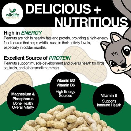 Peanut Party Unprocessed, Raw In-Shell Peanuts Wildlife Animal Food, 25Lb - Rich