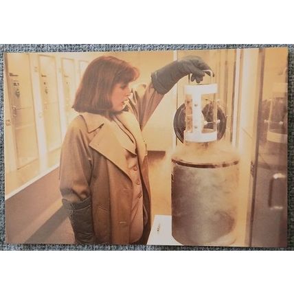 X Files Post Card 105-390 Dana Scully (Gillian Anderson), USA 1995