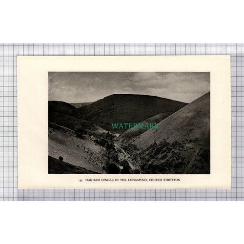 C5386) Oakham Dingle Longmynd Church Stretton - 1938 Cutting