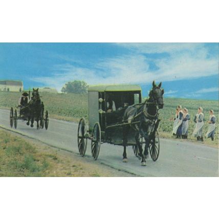 Ohio Dutch Country Amish Family Carriage OH Horse Girls Postcard