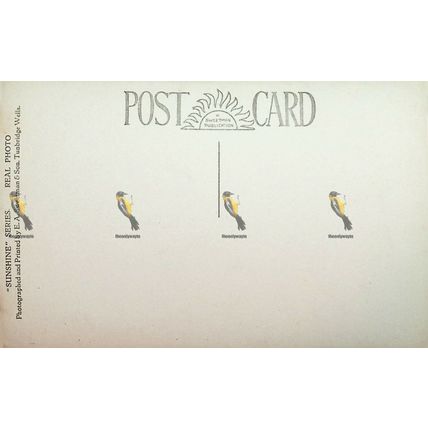 Blue Pool, Furzebrook, Wareham, Dorset, 7650A RP Sweetman 'Sunshine' Postcard