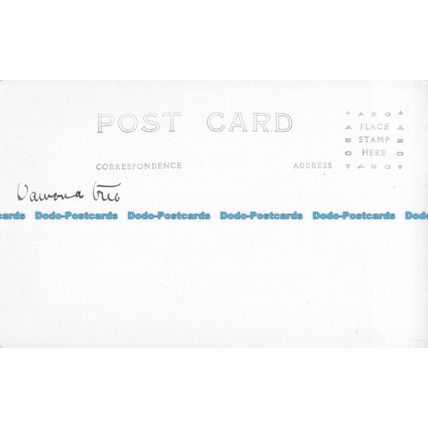 R053324 Old Postcard. Mariposa Big Trees